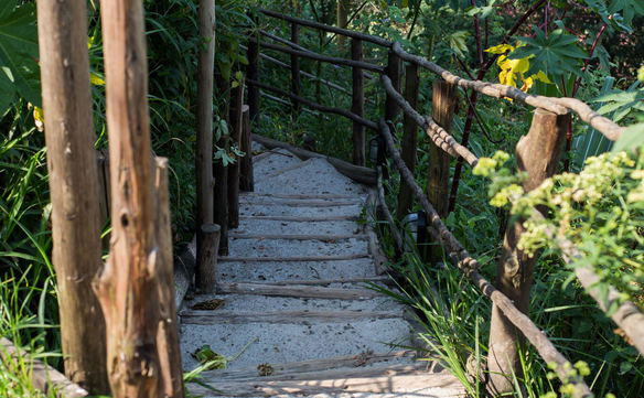 Magic Walk