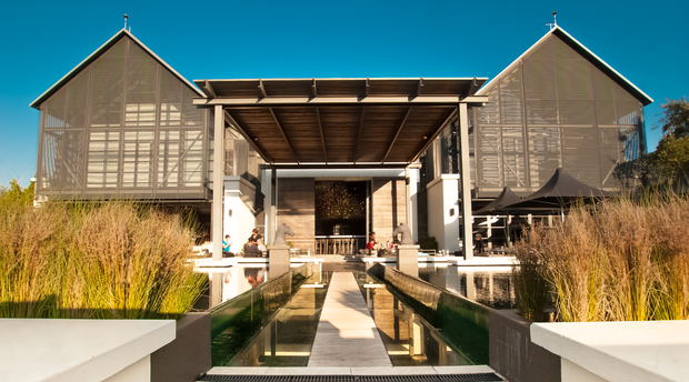 Steenberg Wine Farm - 5 minutes away 