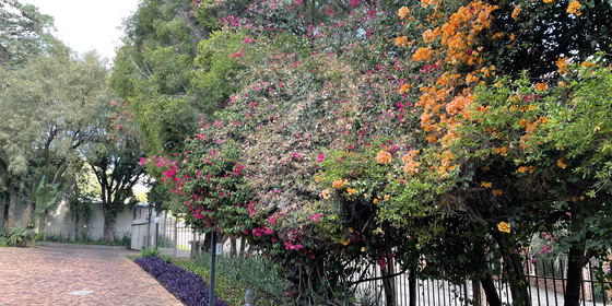 Monumentpark Self-Catering Accommodation in Pretoria