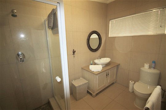 Apartment 5: En-suite bathroom with shower only