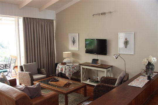 Apartment 1: living & TV room area