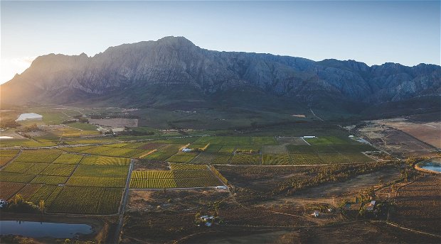 Breede Valley - Worcester - Western Cape