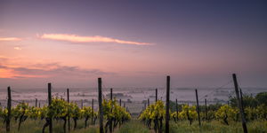 Winter Weekend Wine Special