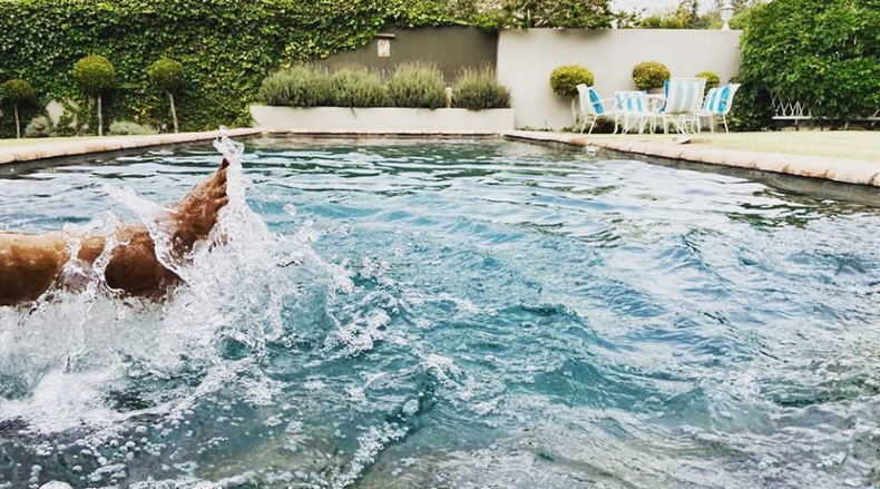 Swimming pool at The Habit Guest House, Worcester, Breede Valley.