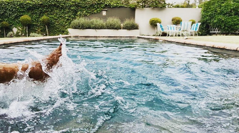 Swimming pool at The Habit Guest House, Worcester, Breede Valley.
