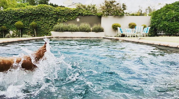 Swimming pool at The Habit Guest House, Worcester, Breede Valley. Swimming pool at The Habit Guest House, Worcester, Breede Valley.