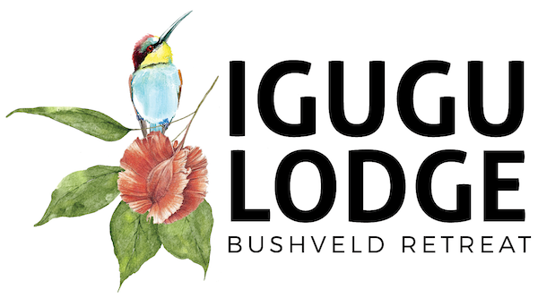 Igugu Lodge - Hoedspruit  exclusive-use group accommodation