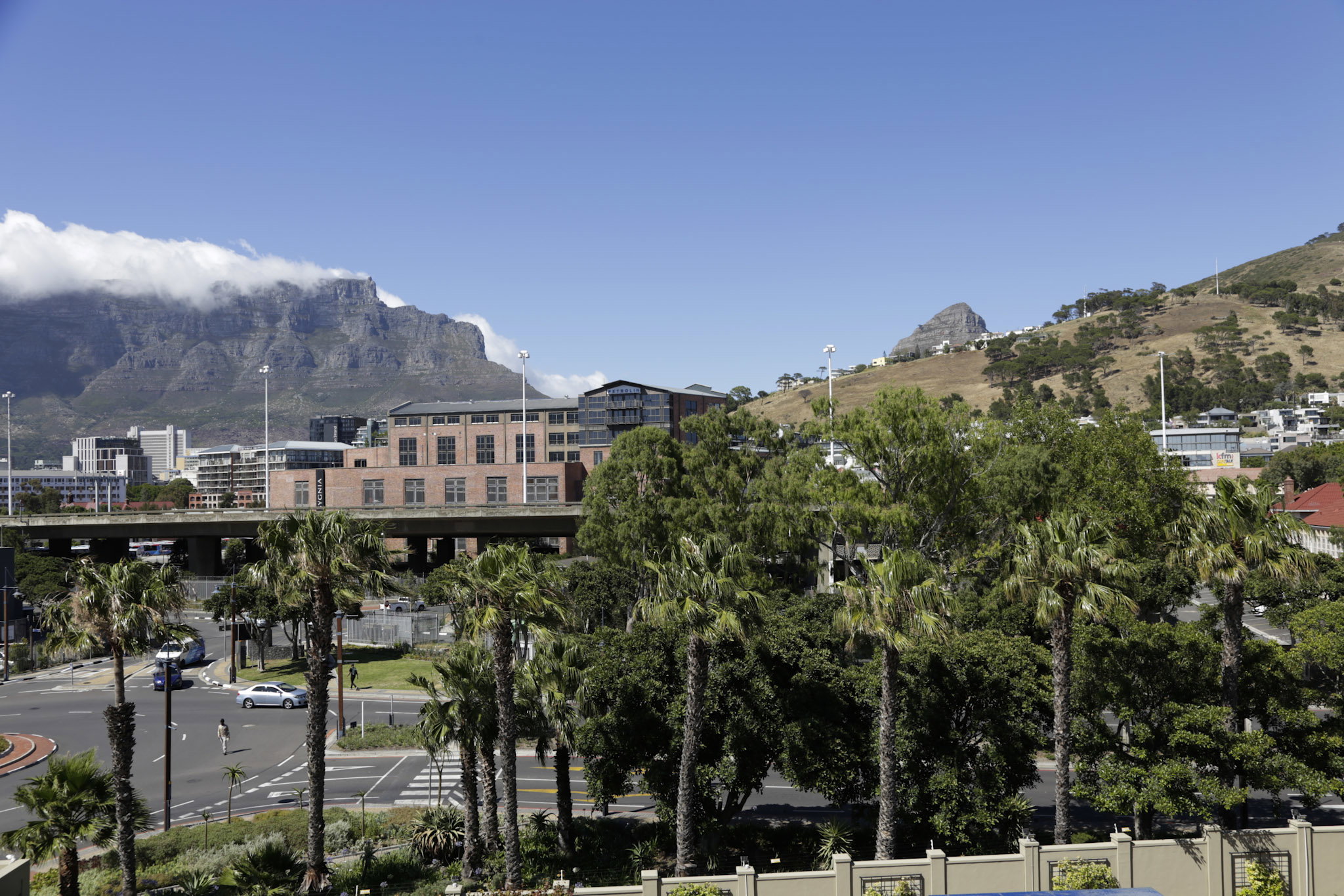 Magnificent Table Mountain