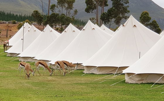 Additional Tents