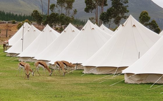 Additional Tents