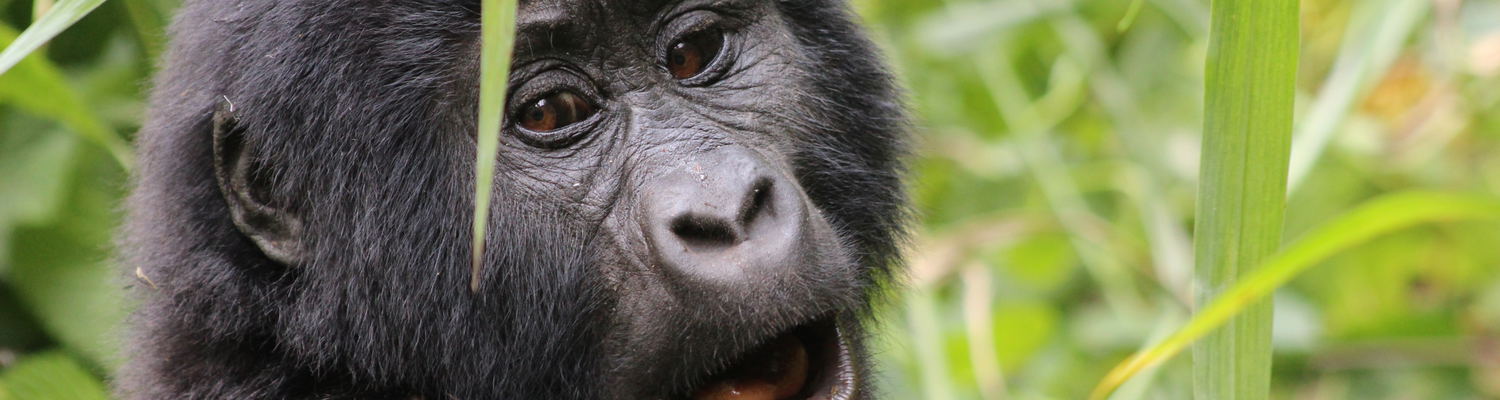 Rwanda