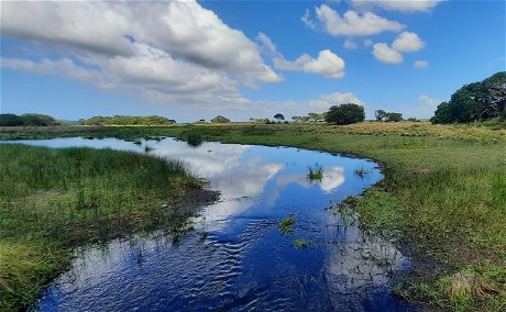 Eastern Shores Wetlands Area Cape Vidal