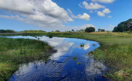 Eastern Shores Wetlands Area Cape Vidal Eastern Shores Wetlands Area Cape Vidal