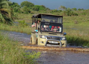 Tailored Accommodation Rates and Packages on all Tour options.