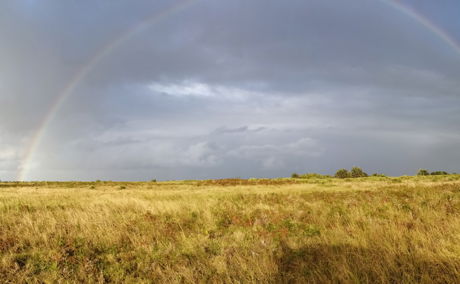 Rainbow over iSimangaliso Wetlands Park, Western Shores