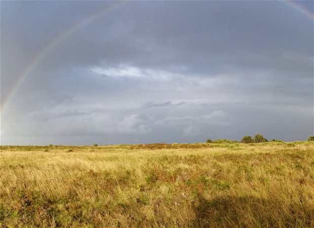 Rainbow over iSimangaliso Wetlands Park, Western Shores