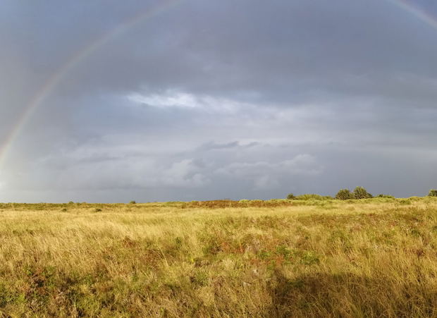 Rainbow over iSimangaliso Wetlands Park, Western Shores Rainbow over iSimangaliso Wetlands Park, Western Shores