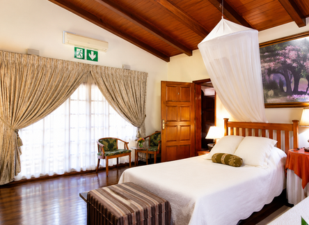 Cape Primrose (Room C - King sized bed and a Twin Bed)