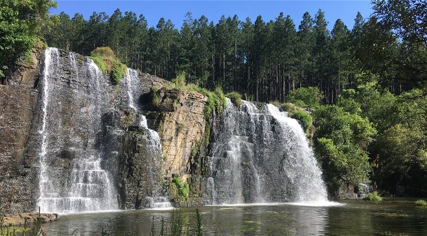 Forest Falls day hike