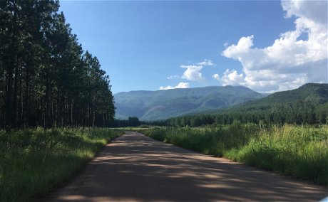 The view on your way to Bridal Veil Falls in Sabie