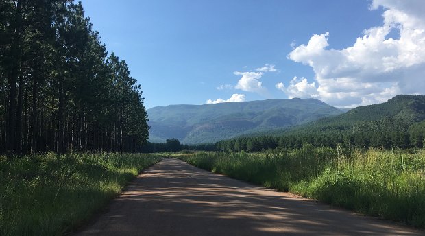 The view on your way to Bridal Veil Falls in Sabie