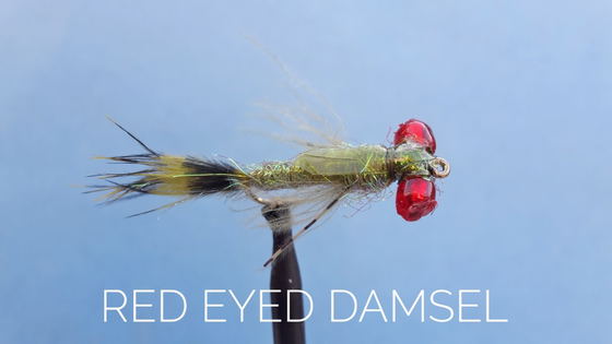 Red Eyed Damsel by Alan Hobson, Wild Fly Fishing in the Karoo Red Eyed Damsel by Alan Hobson, Wild Fly Fishing in the Karoo
