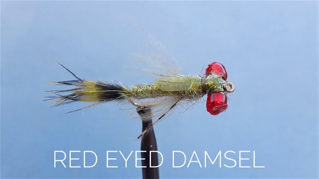 Red Eyed Damsel by Alan Hobson, Wild Fly Fishing in the Karoo