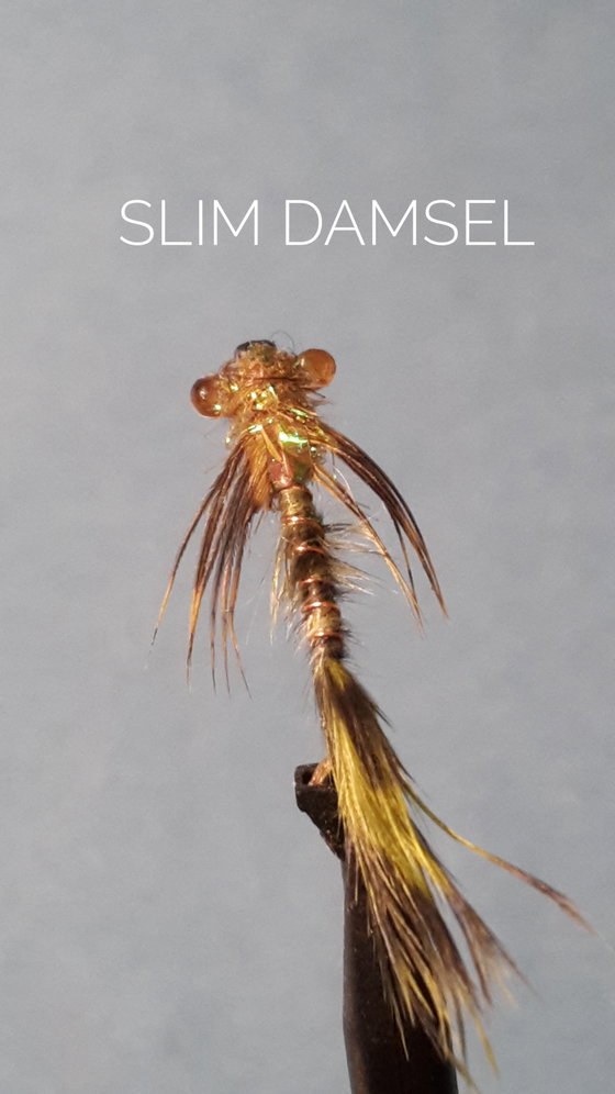 Slim Damsel by Alan Hobson, Wild Fly Fishing in the Karoo