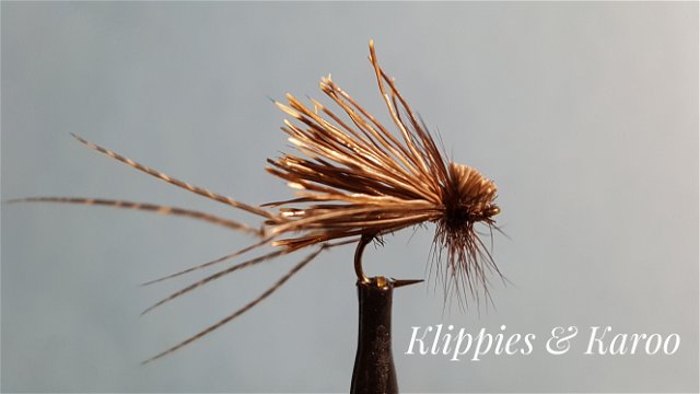 Klippies & Karoo by Alan Hobson, Wild Fly Fishing in the Karoo