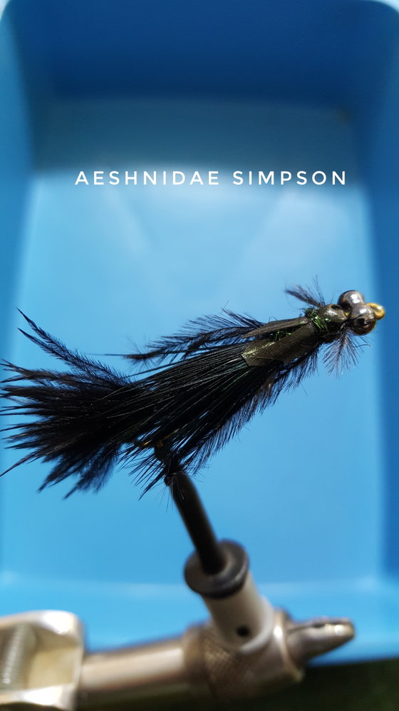 Aeshnidae Simpson by Alan Hobson, Wild Fly Fishing in the Karoo
