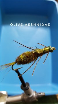 Olive Aeshnidae by Alan Hobson, Wild Fly Fishing in the Karoo