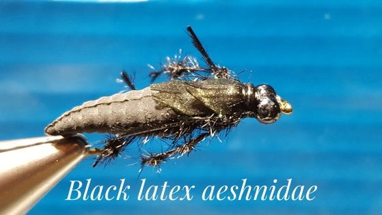 Black Latex Aeshnidae by Alan Hobson, Wild Fly Fishing in the Karoo