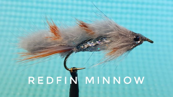 Redfin Minnow by Alan Hobson, Wild Fly Fishing in the Karoo Redfin Minnow by Alan Hobson, Wild Fly Fishing in the Karoo