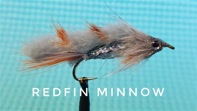 Redfin Minnow by Alan Hobson, Wild Fly Fishing in the Karoo