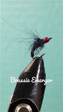 Black Brassie Emerger by Alan Hobson, Wild Fly Fishing in the Karoo