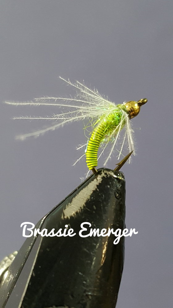 Chartreuse Brassie Emerger by Alan Hobson, Wild Fly Fishing in the Karoo
