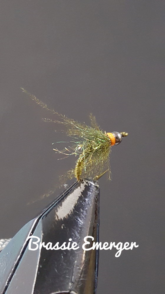 Olive Brassie Emerger by Alan Hobson, Wild Fly Fishing in the Karoo