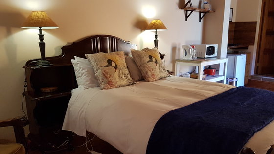 Antelope room, Angler and Antelope Guesthouse, Somerset East