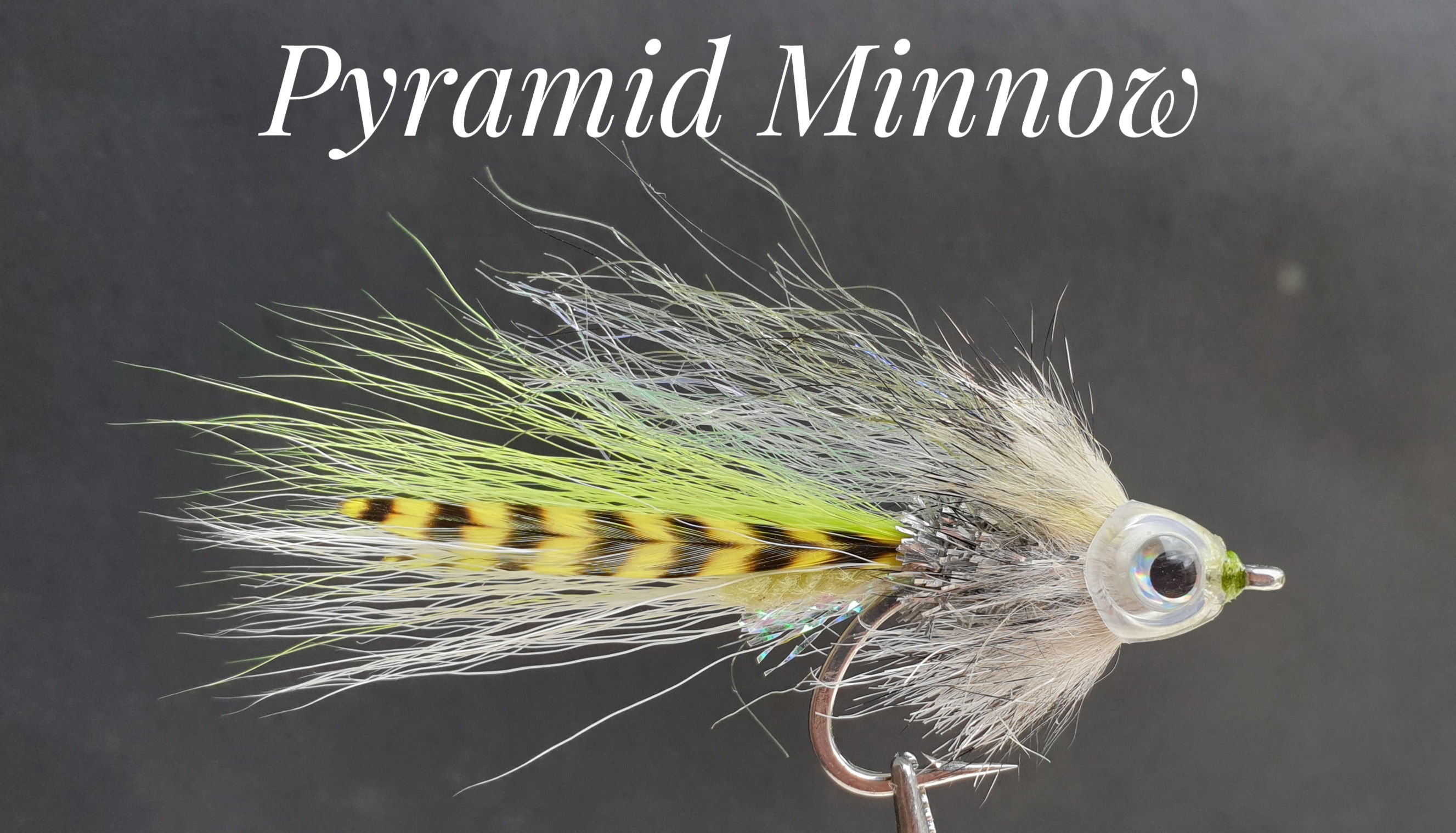 Pyramid Minnow, developed after a trip to Pyramid Lake, Nevada by Alan Hobson, Wild Fly Fishing in the Karoo