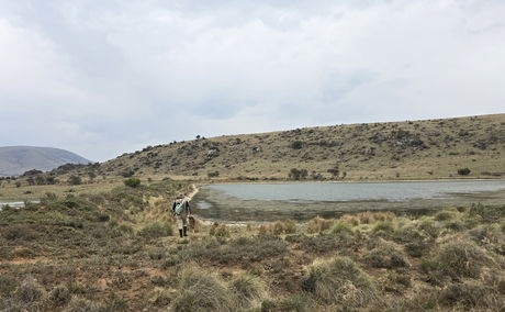 Wild Fly Fishing in the Karoo, Trout fishing in the Karoo