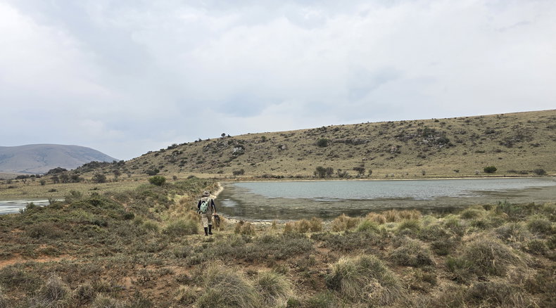 Wild Fly Fishing in the Karoo, Trout fishing in the Karoo