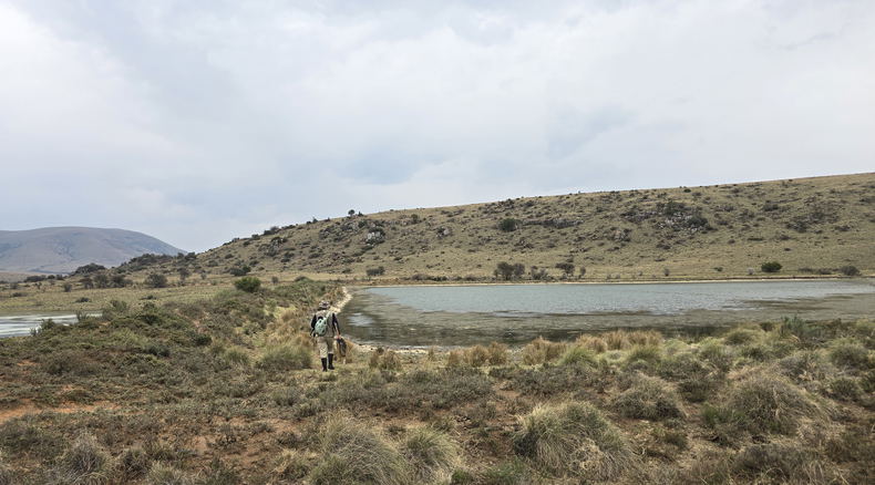 Wild Fly Fishing in the Karoo, Trout fishing in the Karoo Wild Fly Fishing in the Karoo, Trout fishing in the Karoo