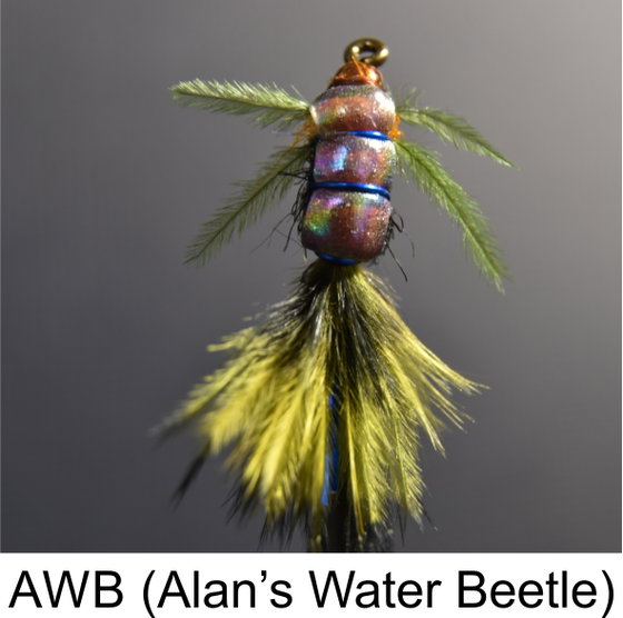 Alan's Water Beetle, AWB, Speciality Flies, Fishing Flies by Alan Hobson, Wild Fly Fishing in the Karoo