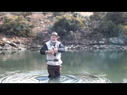 Releasing Trout Correctly