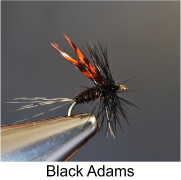 Black Adams, Adams, Fishing Flies, Speciality Flies