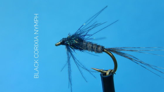 Black Corixia Nymph by Alan Hobson, Wild Fly Fishing in the Karoo