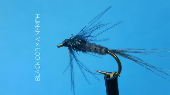 Black Corixia Nymph by Alan Hobson, Wild Fly Fishing in the Karoo Black Corixia Nymph by Alan Hobson, Wild Fly Fishing in the Karoo