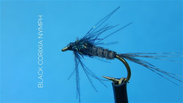 Black Corixia Nymph by Alan Hobson, Wild Fly Fishing in the Karoo