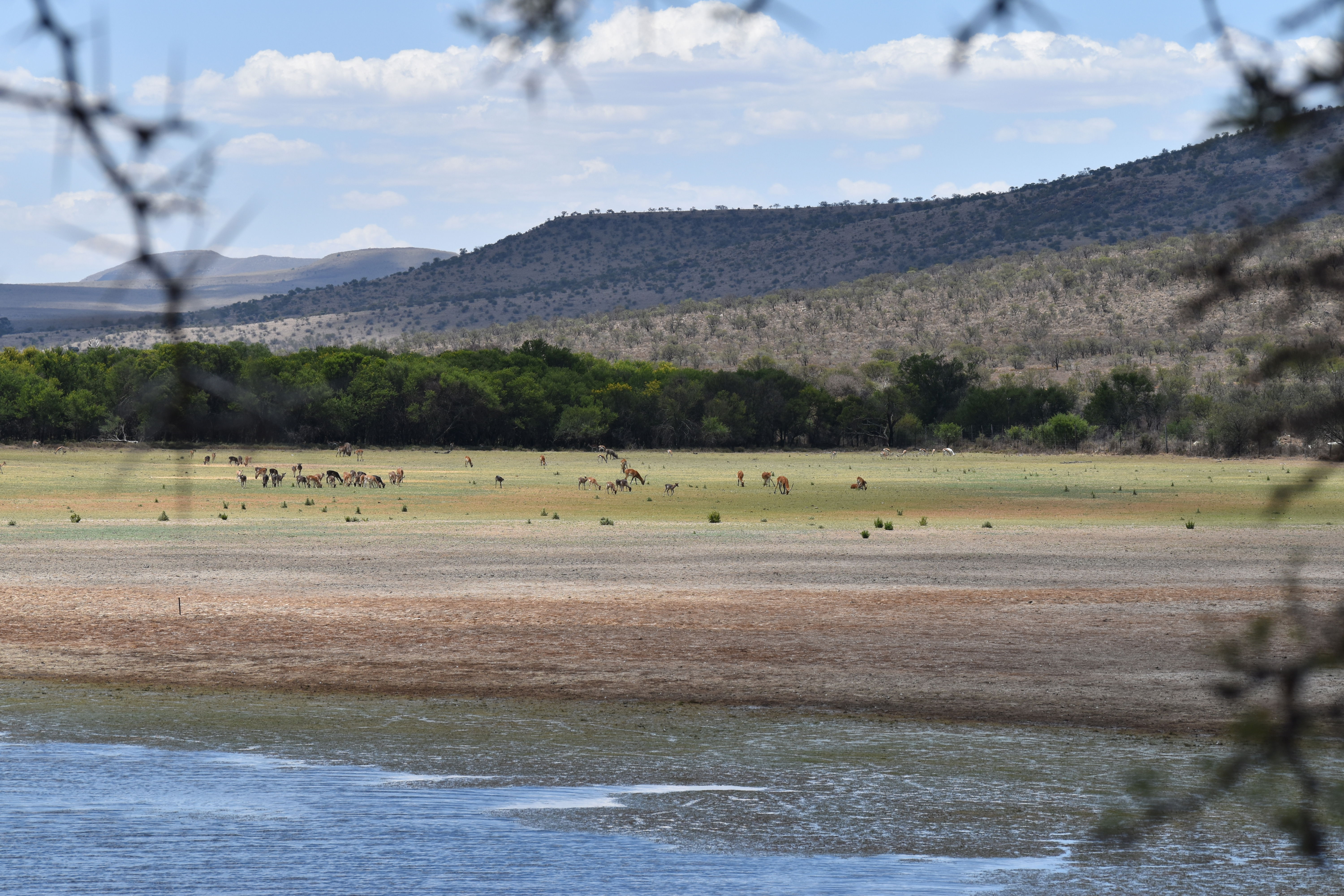 Game viewing whilst fly fishing for bass with Wild Fly Fishing in the Karoo