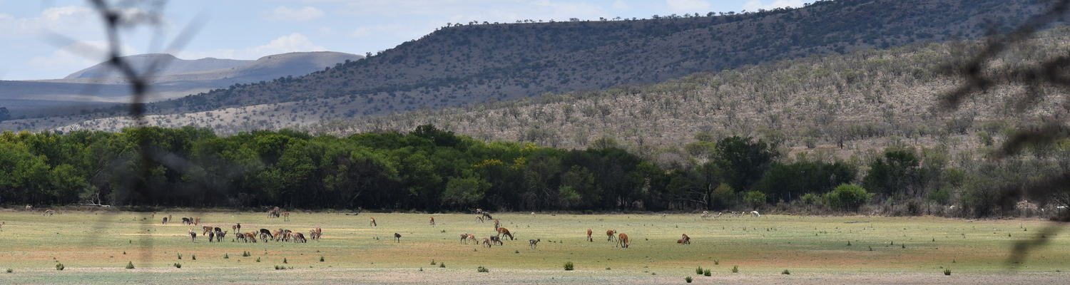 Game viewing whilst fly fishing for bass with Wild Fly Fishing in the Karoo